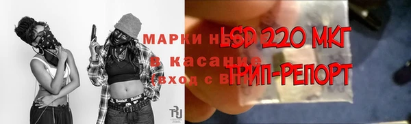 стафф Белоозёрский